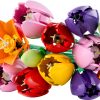 LEGO  11501 Boeket met tulpen