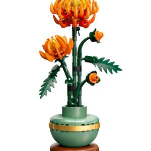 Chrysant