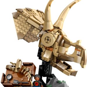 Dinosaurusfossielen: Triceratops schedel