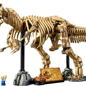 Dinosaurusfossielen: Tyrannosaurus rex