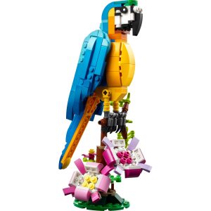 Exotische papegaai