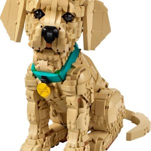 Golden retriever puppy