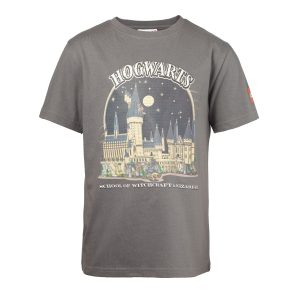 Harry Potter T-shirt - grijs