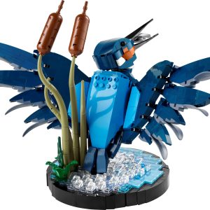 IJsvogel