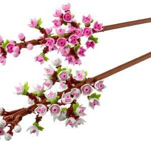 Kersenbloesems