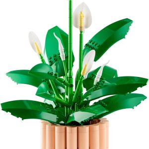 Lepelplant