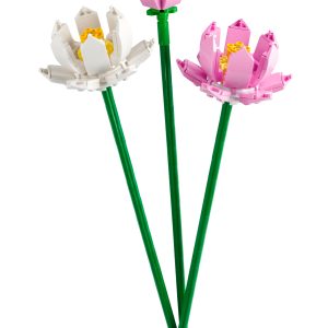 Lotusbloemen