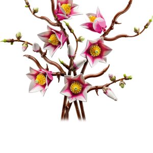 Magnoliatakken