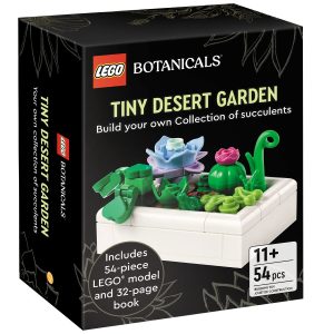Mini woestijntuin