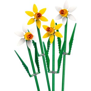 Narcissen