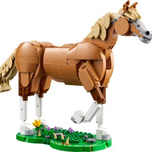 Prachtig paard