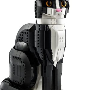 Zwart-witte kat