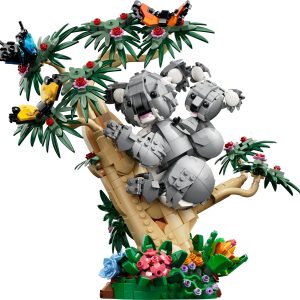 Wilde dieren: koalafamilie