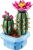 LEGO  11509 Bloeiende cactus