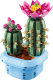 LEGO  11509 Bloeiende cactus