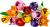 LEGO  11501 Boeket met tulpen