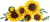 LEGO  11502 Boeket met zonnebloemen