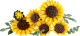 LEGO  11502 Boeket met zonnebloemen