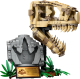 LEGO  76964 Dinosaurusfossielen: T. rex schedel