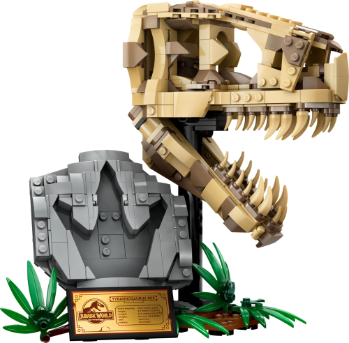 LEGO  76964 Dinosaurusfossielen: T. rex schedel