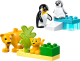 LEGO  10442 Families van wilde dieren: pinguïns en leeuwen