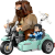 LEGO  76443 Hagrid en Harry’s rit op de motor