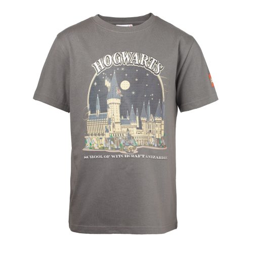 LEGO  5008033 Harry Potter T-shirt – grijs