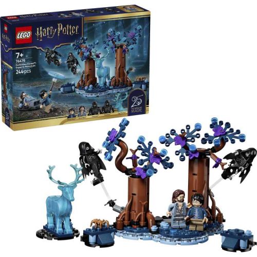 LEGO  76475 Verboden Bos: Expecto Patronum