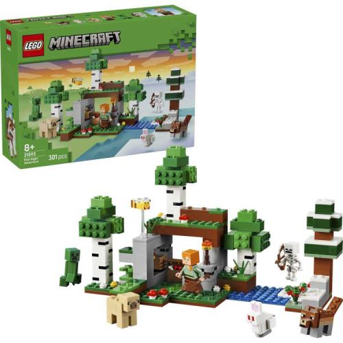 LEGO  21593 Eerste nacht-avontuur