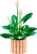 LEGO  11504 Lepelplant