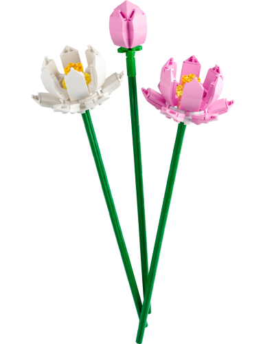 LEGO  40647 Lotusbloemen