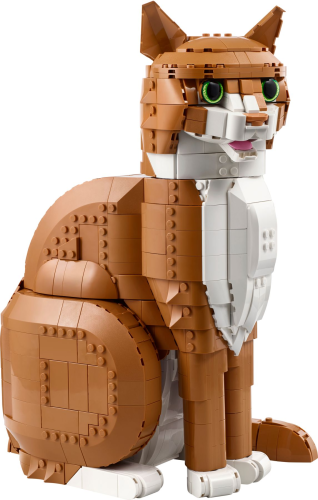 LEGO  21376 Oranje kat
