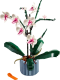 LEGO  10311 Orchidee
