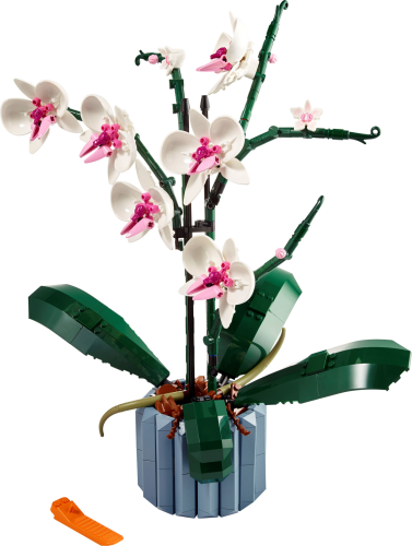 LEGO  10311 Orchidee