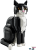 LEGO  21349 Zwart-witte kat
